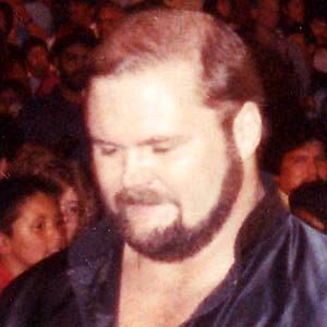 Arn Anderson net worth