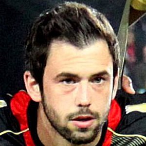 Steven Defour net worth