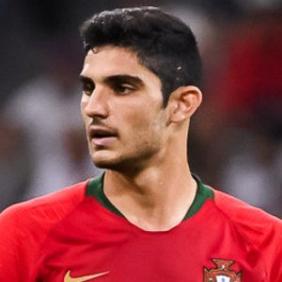 Goncalo Guedes net worth