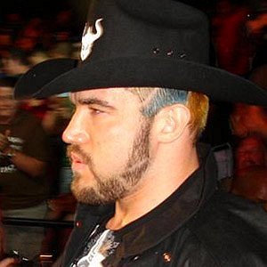 Heath Herring net worth