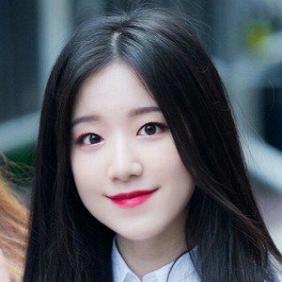 Ye Shuhua net worth