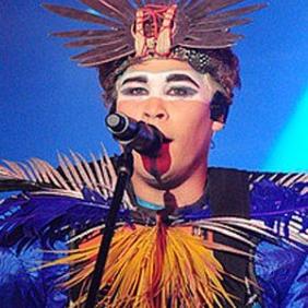 Luke Steele net worth