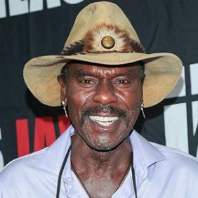 Steven Williams net worth